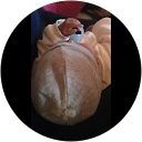 laurence varrin-doyer profile picture